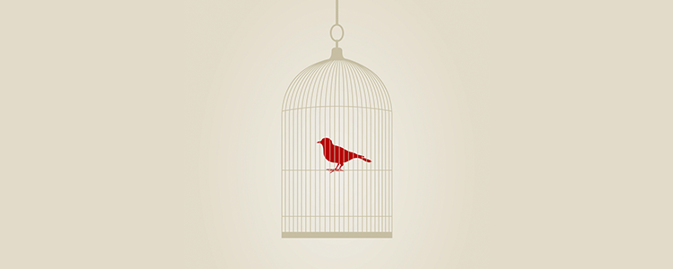 虚拟号码手机号发送平台